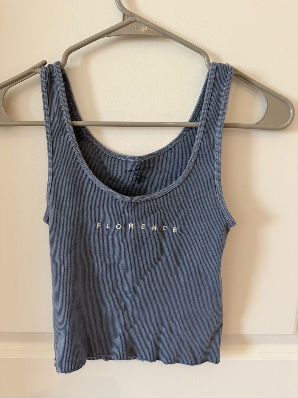 Brandy Melville Florence Cropped Top
